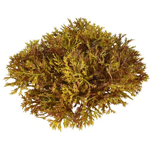 Artificial Moss Decoration Brown – Moss Cushion 10/12/14cm 3 pcs
