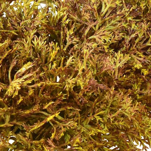 Product Artificial Moss Decoration Brown – Moss Cushion 10/12/14cm 3 pcs