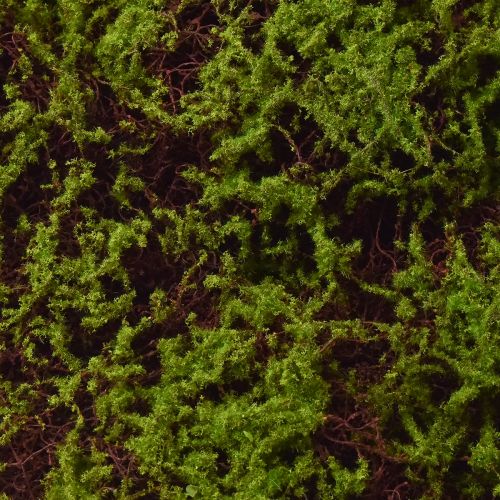 Floristik24 Artificial Moss Large Moss Mat Brown Green 100×50cm