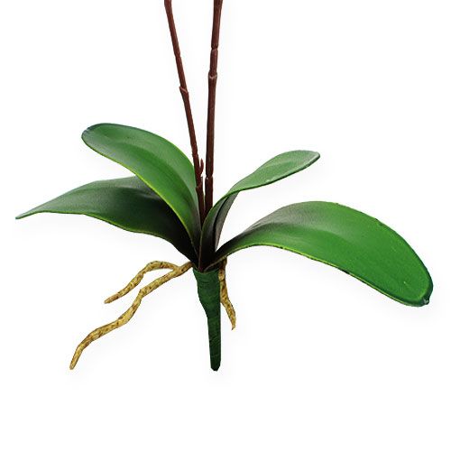 Floristik24 Artificial orchid with leaves Pink 68cm