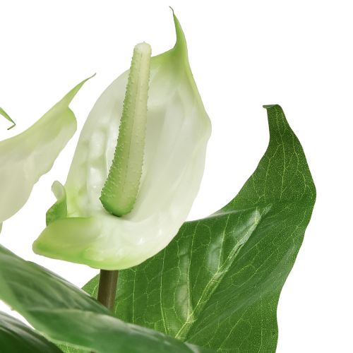 Product Artificial flowers, flamingo flower, artificial anthurium white 36cm