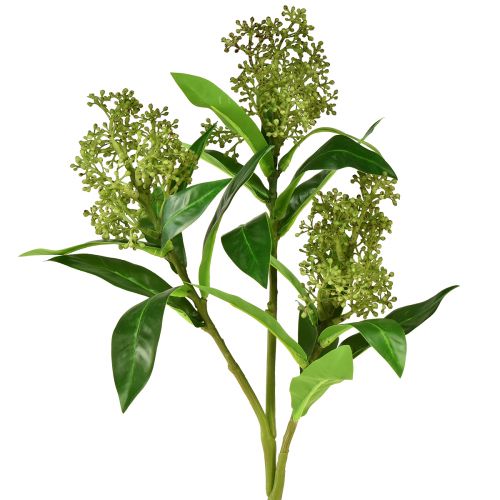 Product Artificial Flowers Green Skimmia japonica Skimmie 45cm 2pcs