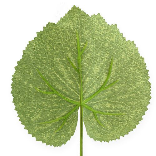 Floristik24 Deco plant leaves Galax W10cm L22cm 24pcs
