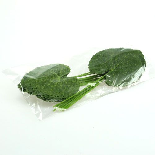 Floristik24 Deco plant leaves Galax W10cm L22cm 24pcs