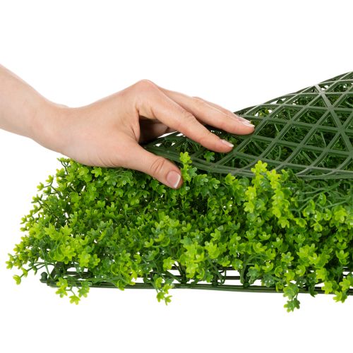 Artificial boxwood plant mat 55x55 cm for decorative wall design | Floristik24.ie