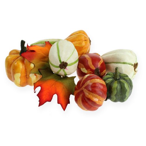 Pumpkin mix colored 12pcs | Floristik24.ie