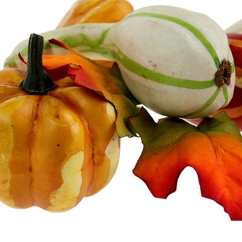 Pumpkin mix colored 12pcs | Floristik24.ie
