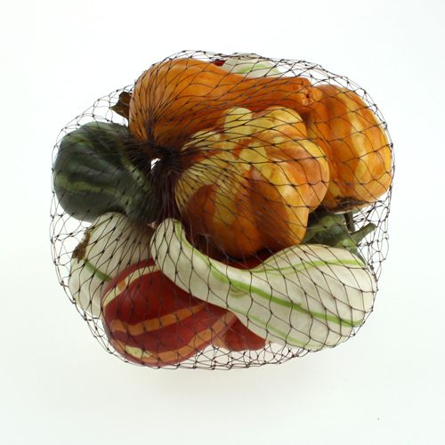 Pumpkin mix colored 12pcs | Floristik24.ie