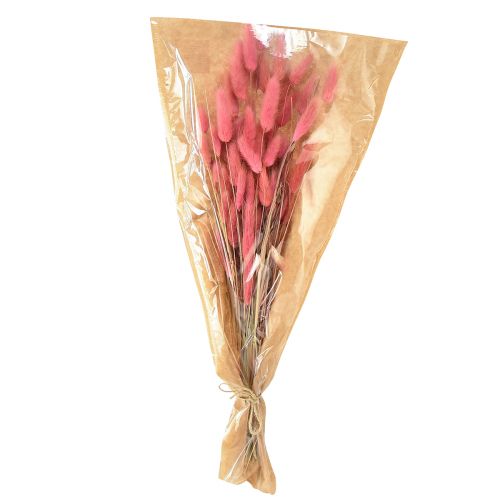 Floristik24 Lagurus Dried Hare's Tail Grass Pink L45cm 50g