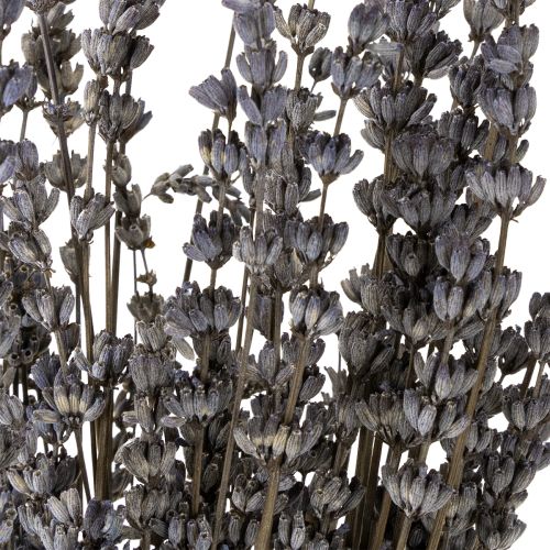Product Lavender dried fragrant dried flowers 35-40cm 50g