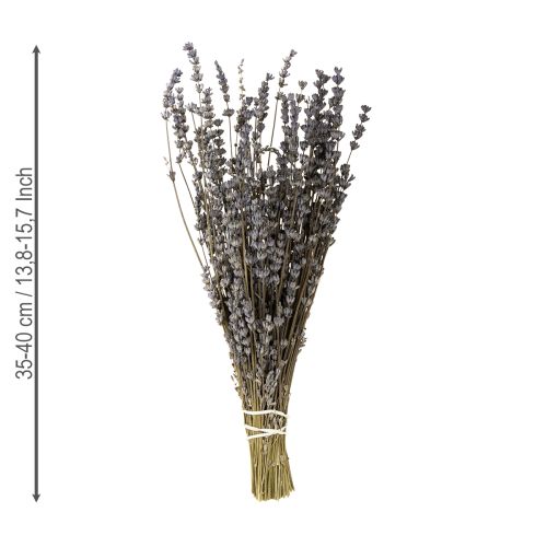 Product Lavender dried fragrant dried flowers 35-40cm 50g