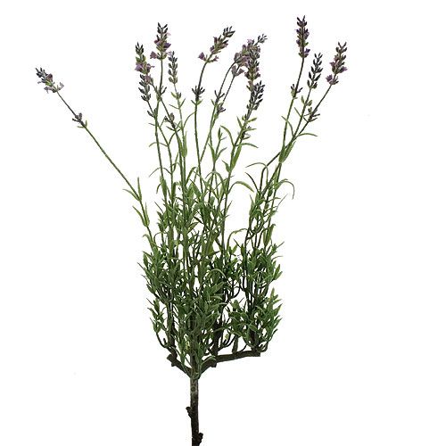 Floristik24 Artificial lavender 53cm