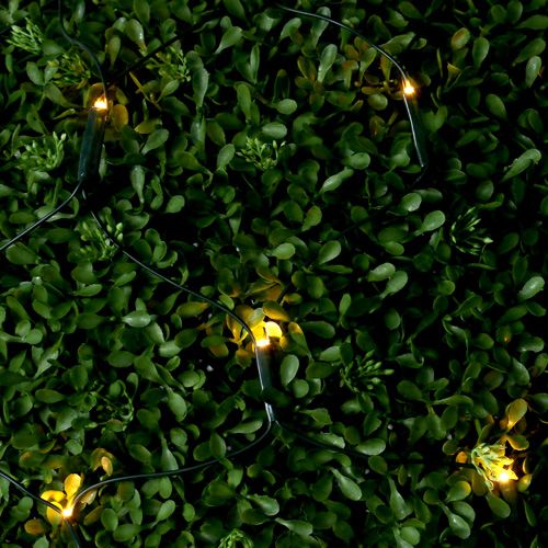 Product Light net 80 for boxwood ball Ø ± 50cm for outside