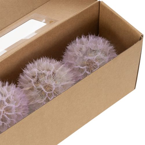 Product Giant Dandelion Decorative Dried Flowers for Modern Interior Design 12cm 4pcs