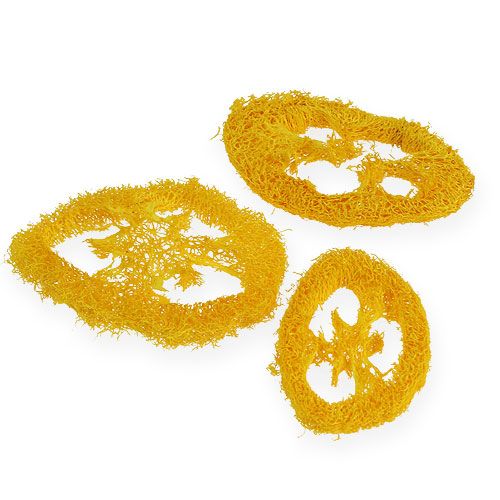 Floristik24 Luffa Discs Yellow 25 pcs