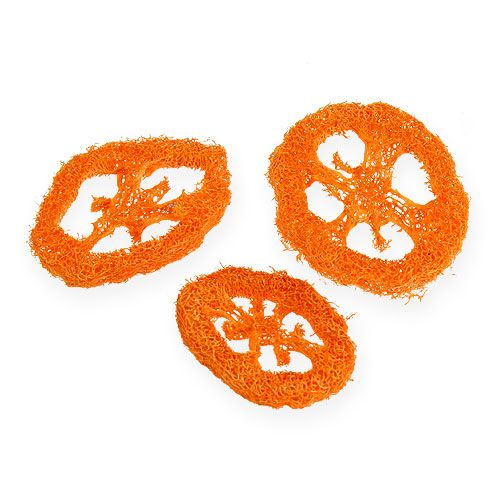 Luffa slices orange 25pcs