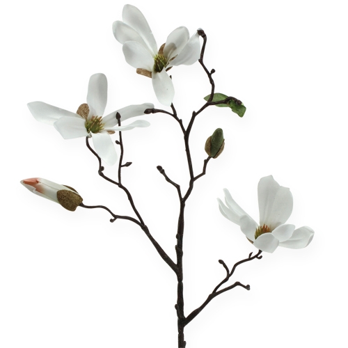 Floristik24 Decorative branch magnolia 40cm white 4pcs