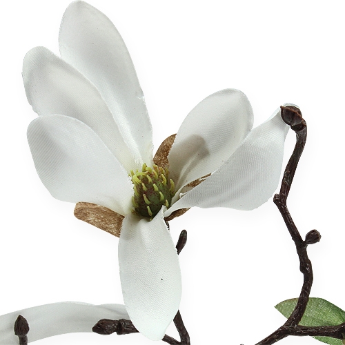 Product Decorative branch magnolia 40cm white 4pcs