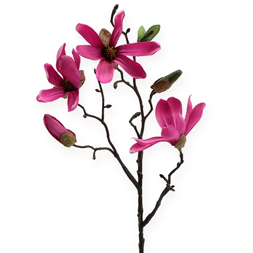 Floristik24 Magnolia branch pink 45cm 4pcs