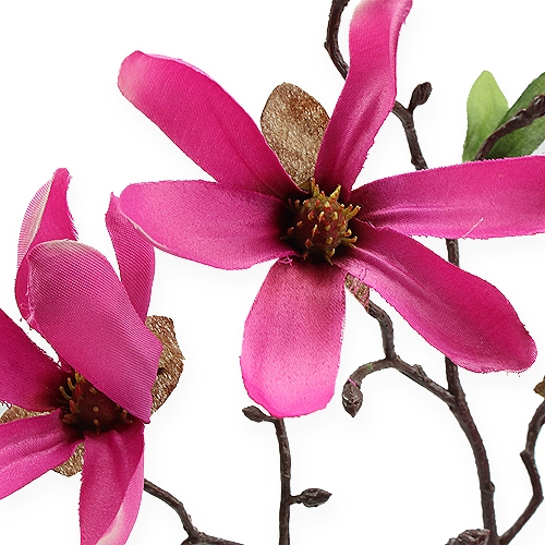 Floristik24 Magnolia branch pink 45cm 4pcs