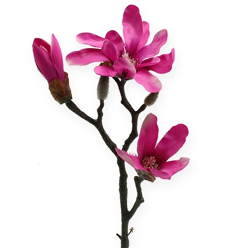 Floristik24 Magnolia branch 45cm 3pcs