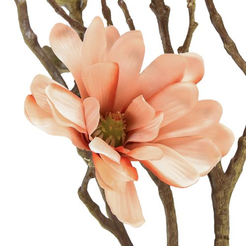 Floristik24 Magnolia branch with 6 flowers Magnolia artificial salmon 84cm