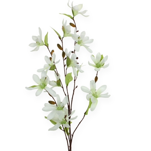 Floristik24 Magnolia branch light green 91cm