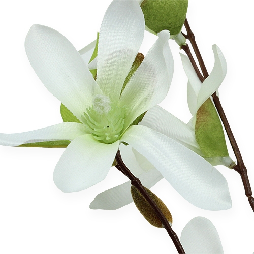 Product Magnolia branch light green 91cm