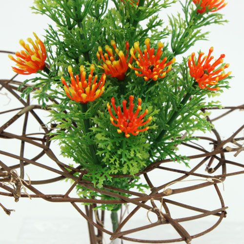 Floristik24 Vine cuff 25cm 5pcs