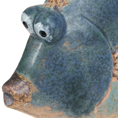 Floristik24 Maritime Decoration Fish Blue Ceramic Decoration Assorted 19/17cm 2 Pcs