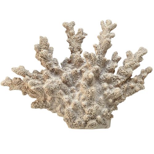Floristik24 Detailed coral decoration made of polyresin in grey – 26 cm – Maritime elegance for your home