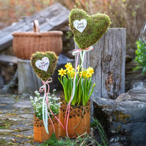 Floristik24 Metal decorative rust lantern planter metal Ø12cm H17cm