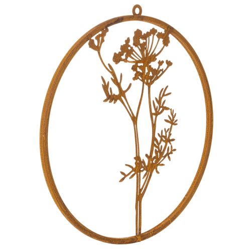 Metal ring, rusted metal, decorative ring, wall decoration, dill sprig, Ø38cm buy online | Floristik24.ie