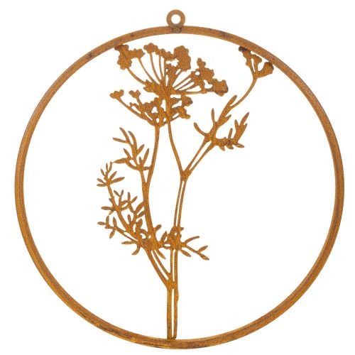 Metal ring, rusted metal, decorative ring, wall decoration, dill sprig, Ø38cm | Floristik24.ie