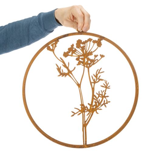 Metal ring, rusted metal, decorative ring, wall decoration, dill sprig, Ø38cm | Floristik24.ie