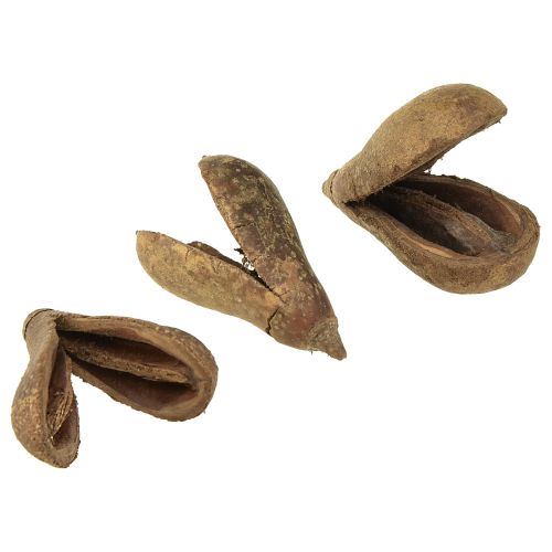 Mike Fruit Natural Materials Bagon Fruit Natural 8cm 50 pcs