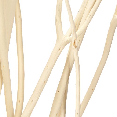 Product Mitsumata branches white 34-60cm 12 pcs
