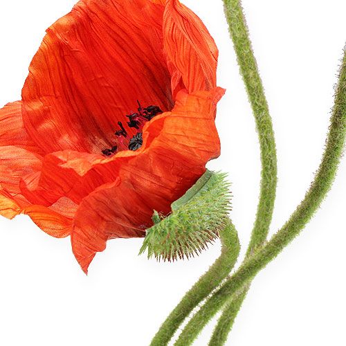 Floristik24 Artificial flower poppy orange 75cm 3pcs