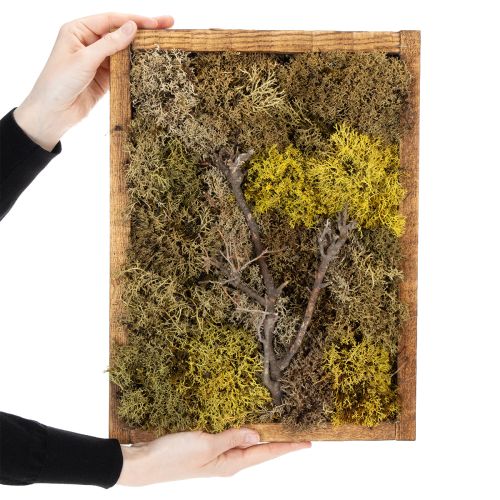 Product Moss picture, real moss picture with frame, preserved, 40×30cm