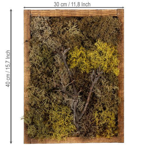 Product Moss picture, real moss picture with frame, preserved, 40×30cm