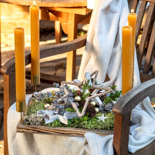 Product Moss picture Real moss preserved and branches natural 60×40cm