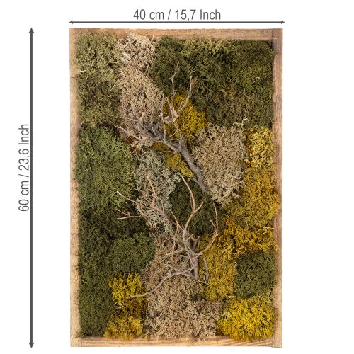 Product Moss picture, real preserved moss and twigs, natural, 60×40cm