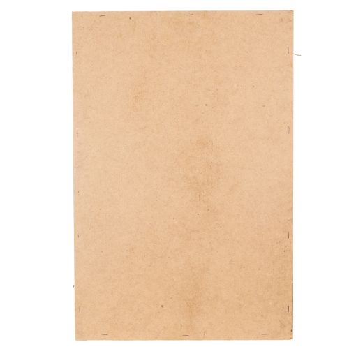 Product Moss picture, real preserved moss and twigs, natural, 60×40cm