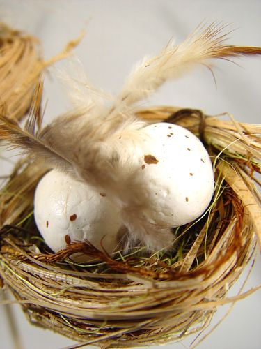 Floristik24 Bird's nest with eggs on a stick 6cm 6pcs