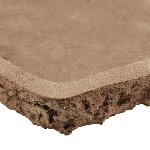 Product Oasis Biolit base for floral foam bricks 25×14×2cm, 11 pieces - Sustainable flower arrangements floristry accessories
