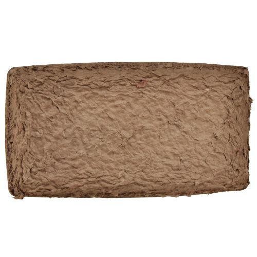 Product Oasis Biolit base for floral foam bricks 25×14×2cm, 11 pieces - Sustainable flower arrangements floristry accessories