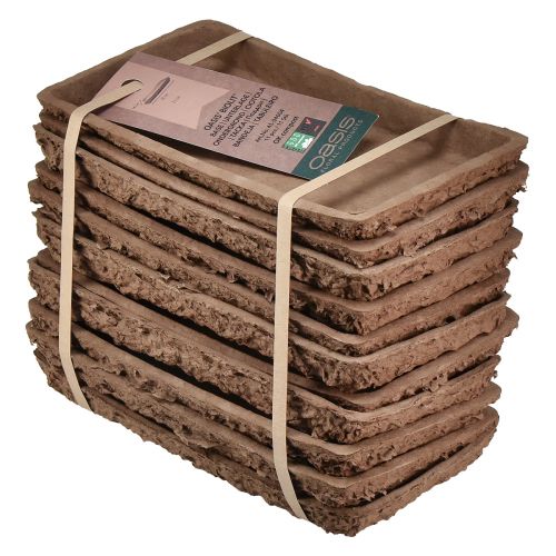 Product Oasis Biolit base for floral foam bricks 25×14×2cm, 11 pieces - Sustainable flower arrangements floristry accessories