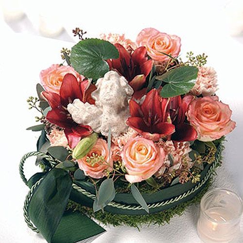 Product OASIS® Junior Complete 12 pcs