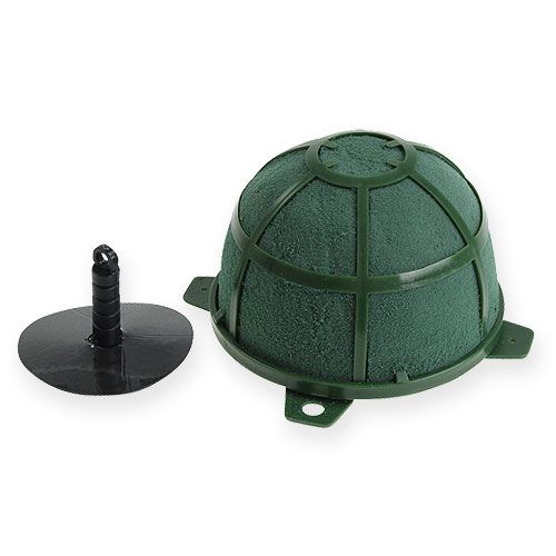 Floristik24 Wet floral foam Powerstrick-Corso 7.5cm 6 pcs