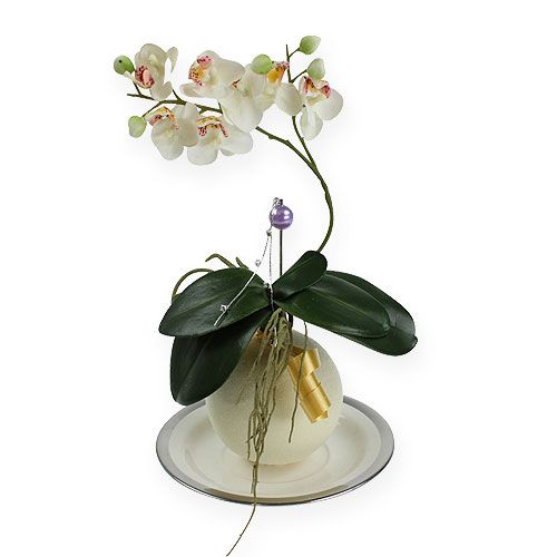 Floristik24 Floral foam balls cream 9cm 4pcs